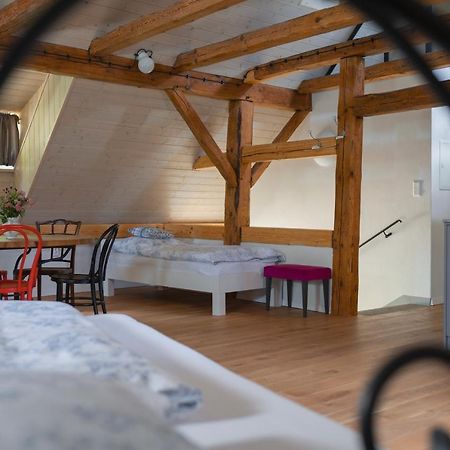 Apartamento Mlyn Salajna Dolni Zandov Exterior foto
