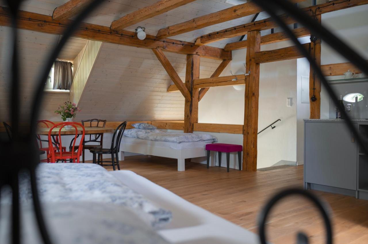 Apartamento Mlyn Salajna Dolni Zandov Exterior foto