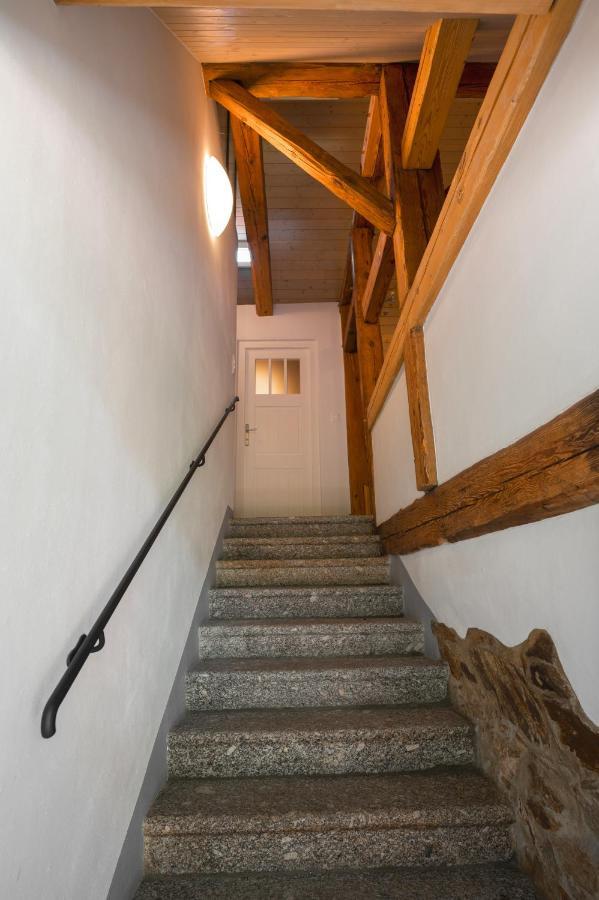 Apartamento Mlyn Salajna Dolni Zandov Exterior foto