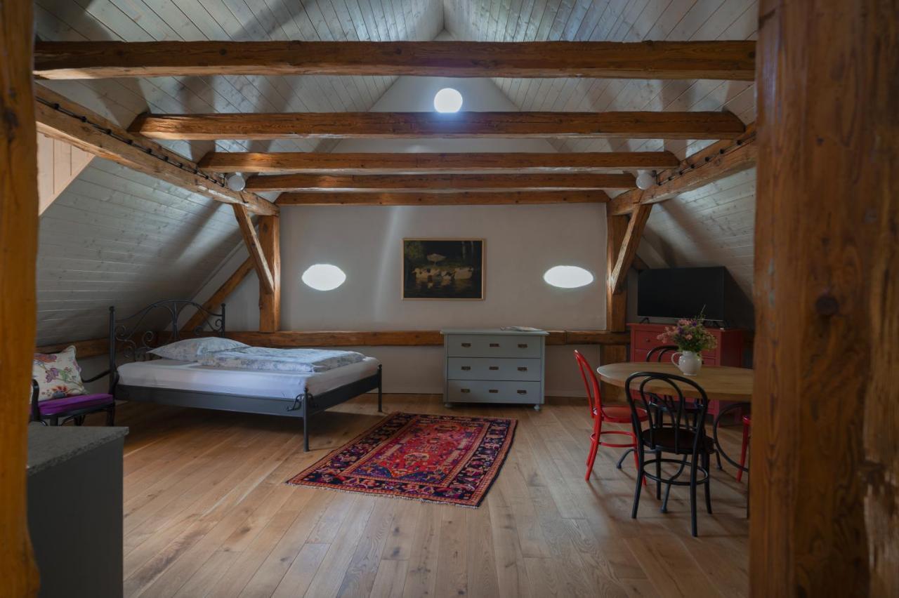 Apartamento Mlyn Salajna Dolni Zandov Exterior foto