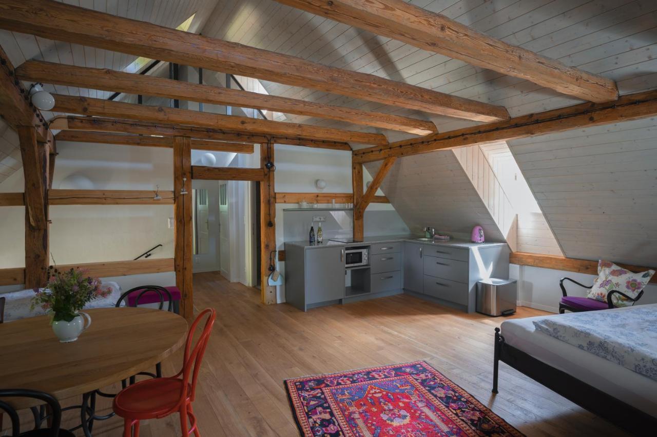 Apartamento Mlyn Salajna Dolni Zandov Exterior foto